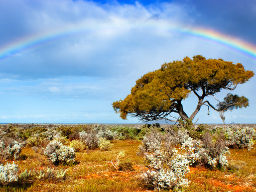 The Rainbow Serpent Myths