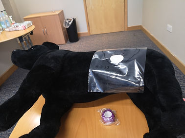 A large stuffed black toy dog lies on a table. Beside the dog is various first aid equipment.