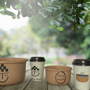 Buddha Bowls Packaging