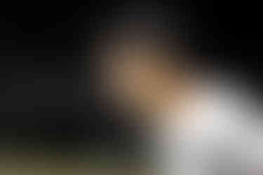 Photos By Allison Cho