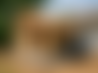 🧰 Why Home Additions Are Outpacing Move-Up Purchases in 2025