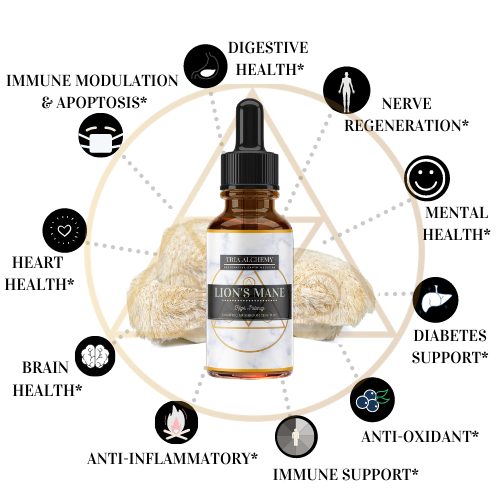 Thumbnail: Lion's Mane Health benefits