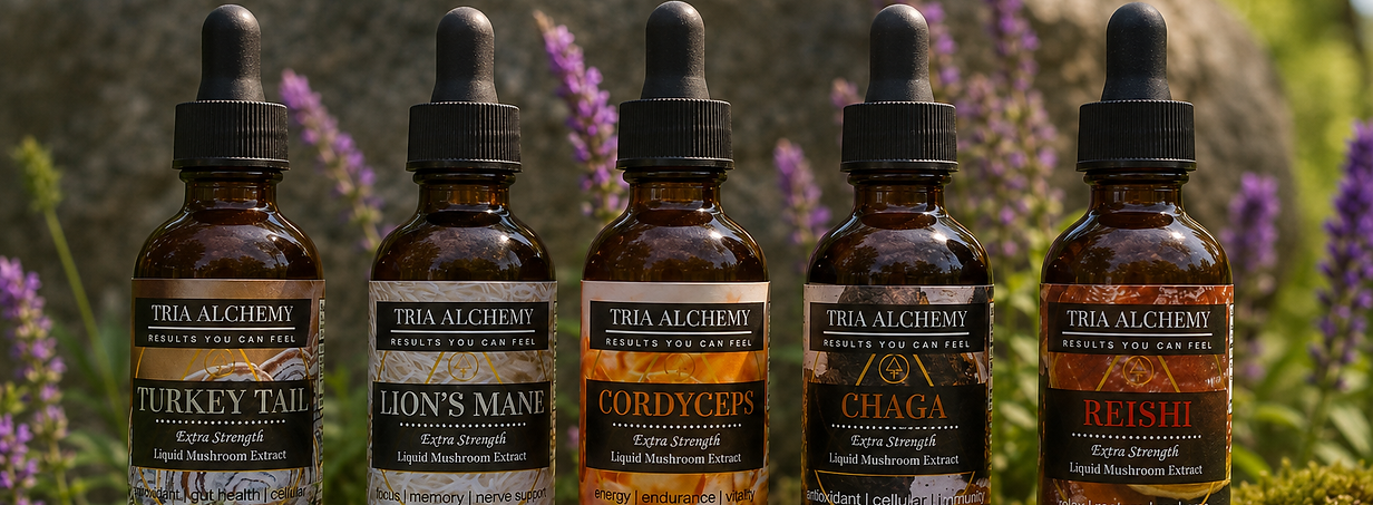 Tria_Alchemy_Extra Strength_Mushroom_Extracts.png