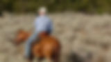 man-on-horse-mobile.jpg