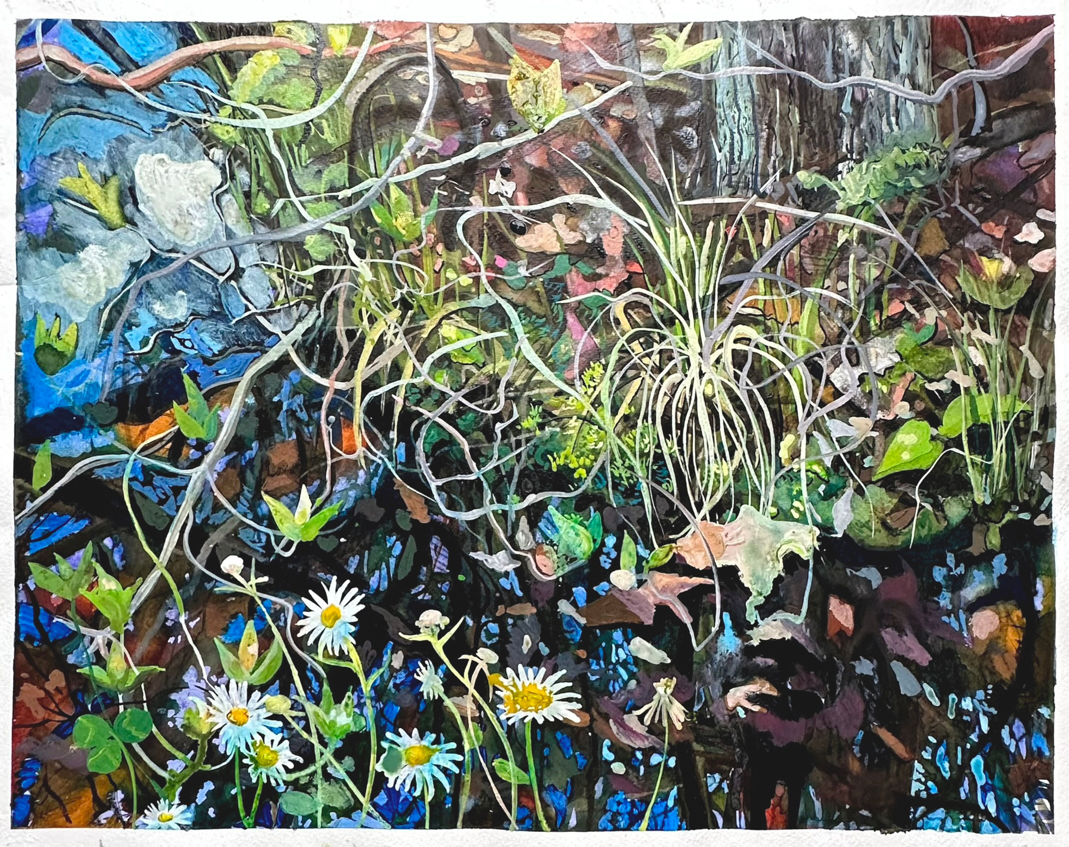 11" by 14" Pond Weir's Edge Archival Print