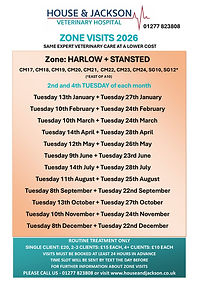 HARLOW + STANSTED 2026.jpg