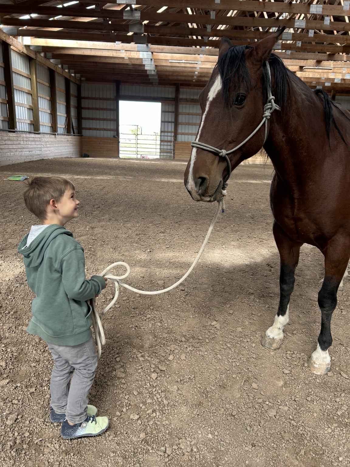 A child smiling up at Hank while building confidence around horses
