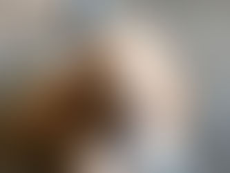 How Do I Get My Puppy To Sleep Through The Night?