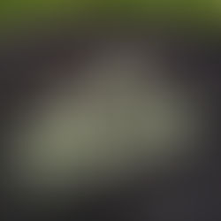 Top 3 Reasons Why One Colour Artwork Design For Custom T-Shirt Printing In Singapore Is The Best