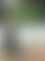 20º Congresso Brasileiro de Cirurgia do Tornozelo e Pé