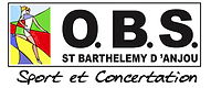 2018-02-09 OBS LOGO Vectorisé (1)-1.png
