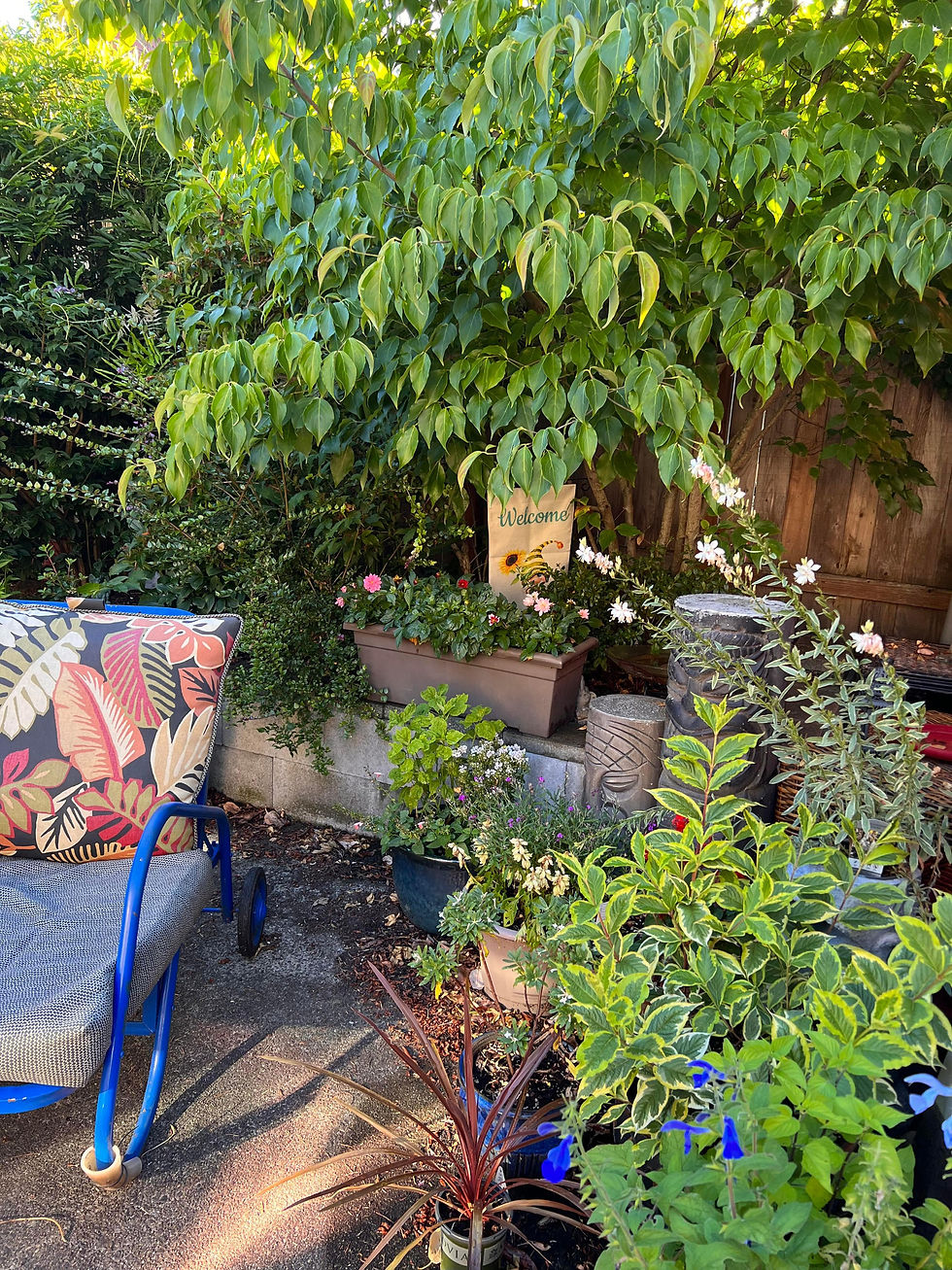 Revenge Garden