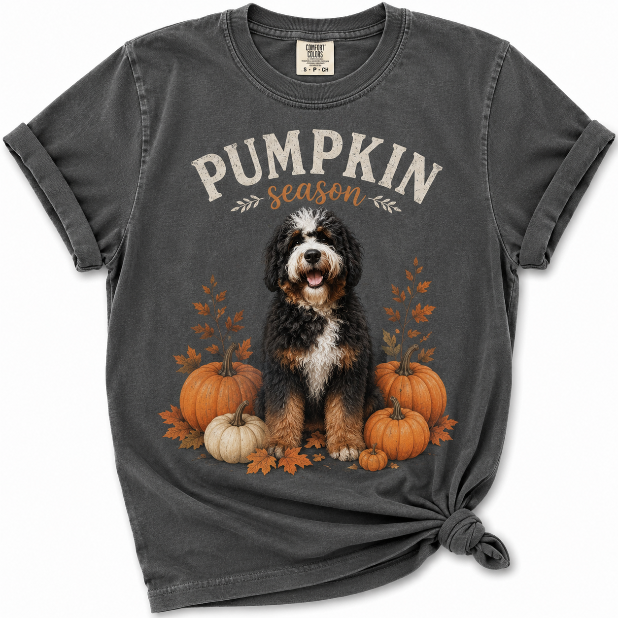 Pumpkin Season - Riggs