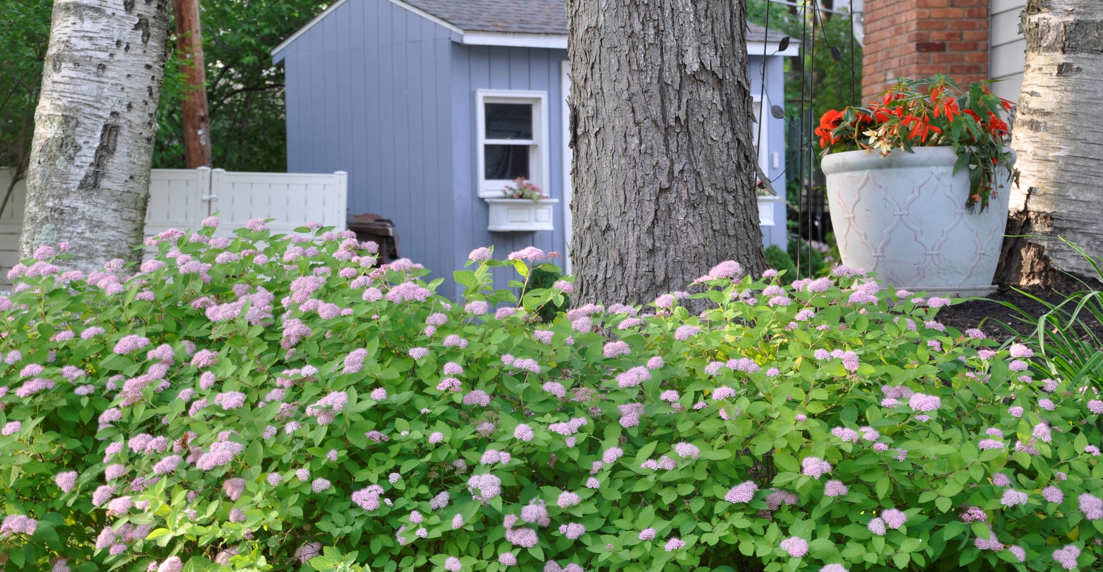 Past Garden Tour & Plant Sales