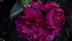 Bb_KBY4Ct8aF_A