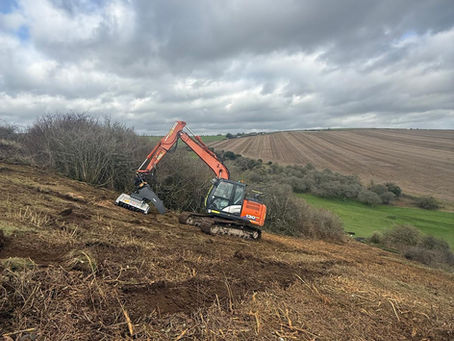 scrub clearance mulcher