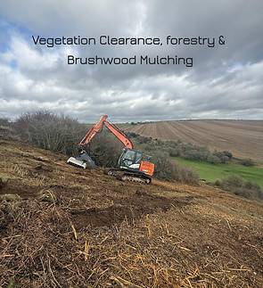 Vegetation Clearance Contractors.jpg