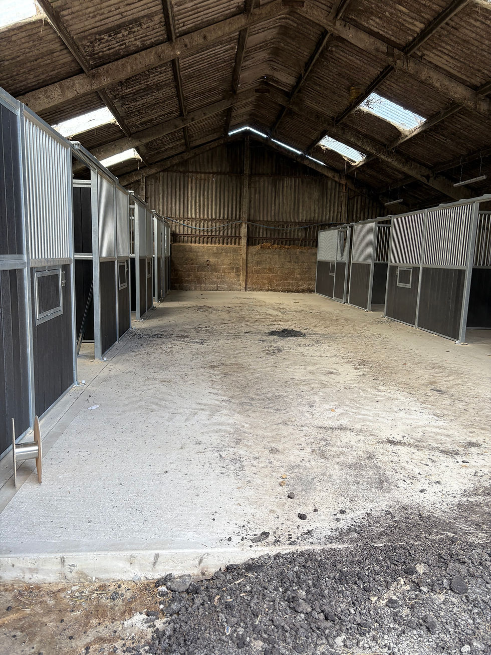 Quality indoor horse stable install