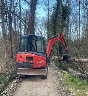 Mini excavator with grab.jpg