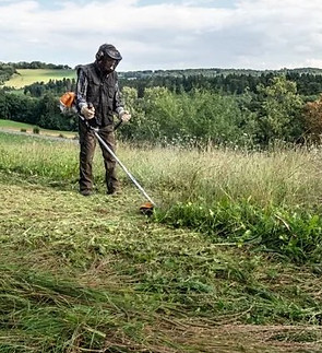 stihl-fs-230-petrol-brush-cutter.jpg