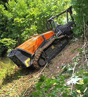 Forestry Mulching Service.jpg
