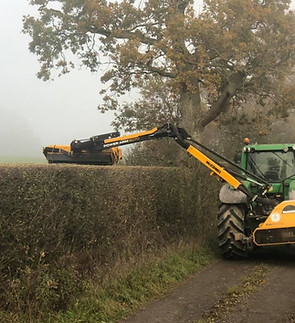 hedge cutting rear view.jpg