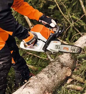 Woody clearance - chainsaw.webp