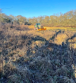 ScrublandClearance_edited.jpg