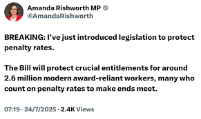 The Minister provides no genuine reason or real-life cases demonstrating a genuine need to create even more laws, on top of the 153 changes already made by the ALP since 2022.