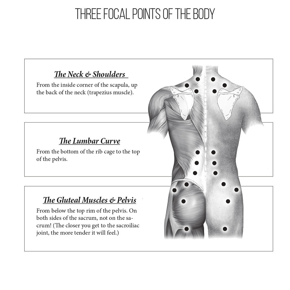 Thumbnail: Digital Myssage Instructional Manual