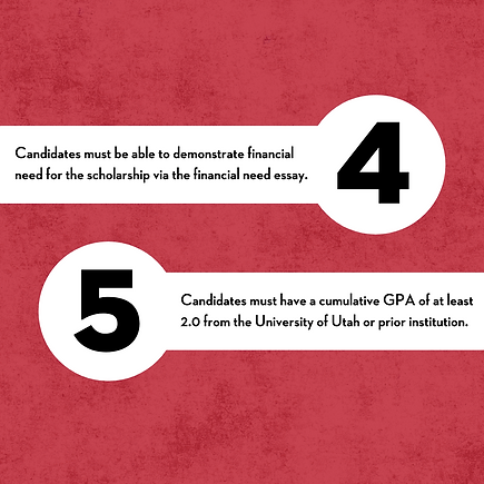 Union Scholarship 24-25 IG Post (2).png