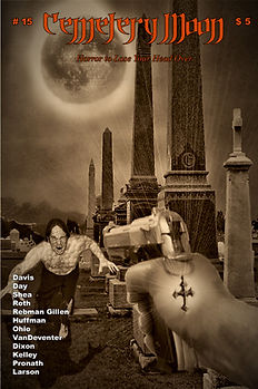 CM 15 cover jpeg.jpg