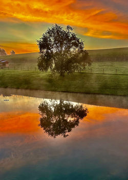 Early morning