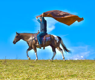 Maverick is a 5 year old brown and white paint gelding for sale at Twilight Farms in Fresno, Ohio.