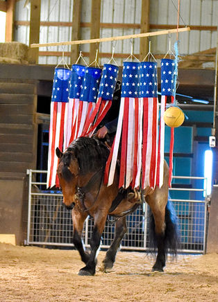 Toast is a 8 year old Bay roan Brabant/Quarter Horse Cross Gelding offered for sale at Twilight Farms in Fresno, Ohio.