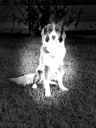 IMG_7651.jpeg