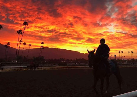 Sunrise at Santa Anita