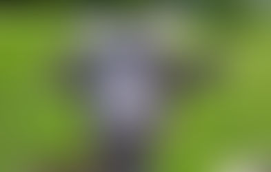 Craft for Readers and Writers, Awkward Sentences