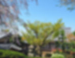 P4081732_.jpg