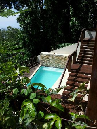 casa-verde pool.jpg
