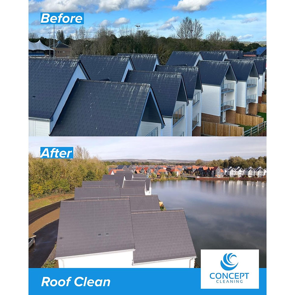 roof-cleaning-concept-cleaning-kent-essex-before-afters-1-square-web