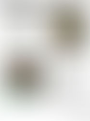 Liminal Land - Summer Pamphlet of 1978