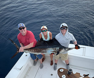 Sailfish_edited_edited.jpg