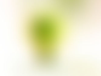 Feu d'artifice du 1er janvier 2026