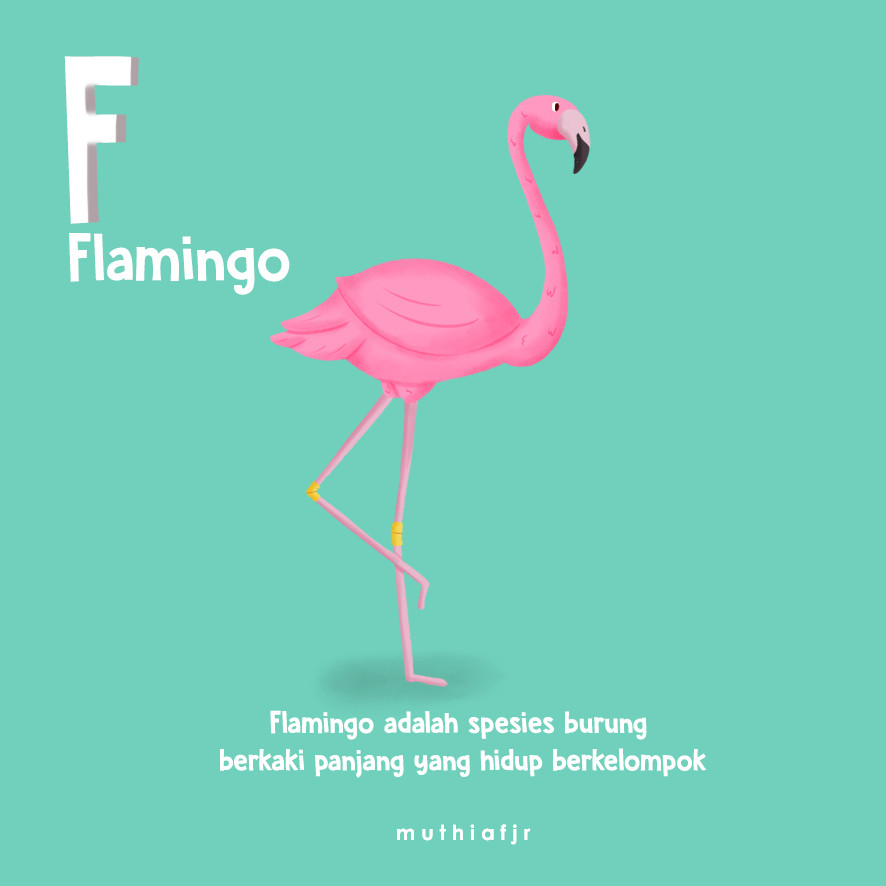 Flamingo