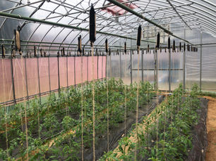 最初はただの好奇心でした。写真で見るより少し大きめで、 でも価格も安いし、試すだけならいいかなと。 でも使ってみると、それは"変化"の始まりでした。