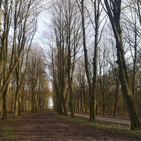 Luisteren naar je intuïtie: wat wil er naar buiten?