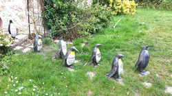 Pingouins en papier Camille Jacobs