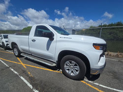 LIGHT DUTY COMMUTER TRUCKS