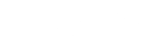 The Bright Pixel's-logo-white.png
